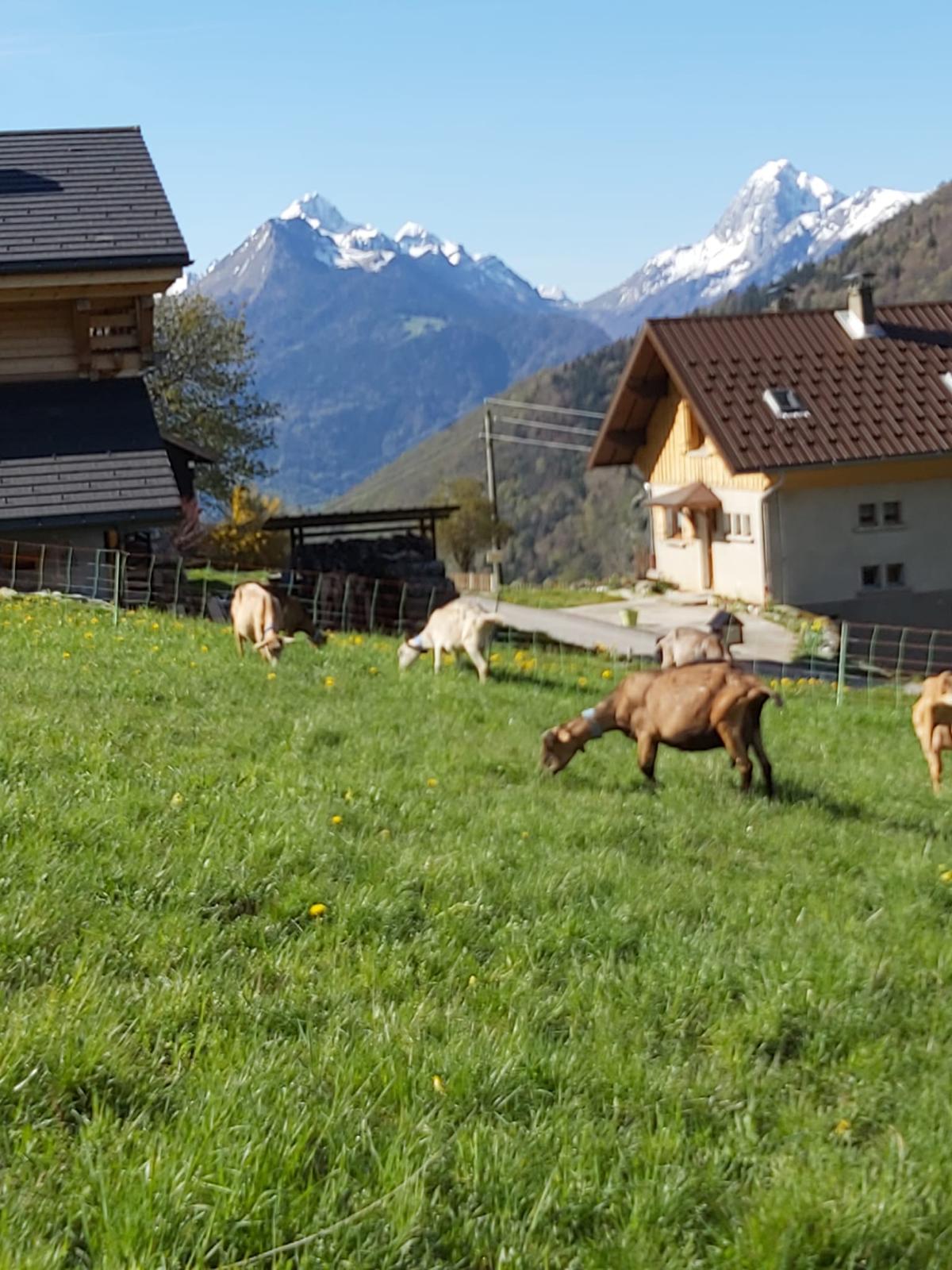 Image of Chalet Montmin 1000m
